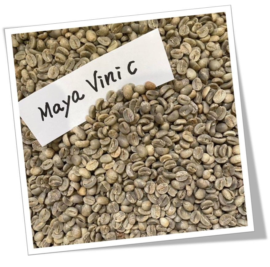 有機栽培 マヤビニックコーヒー 生豆