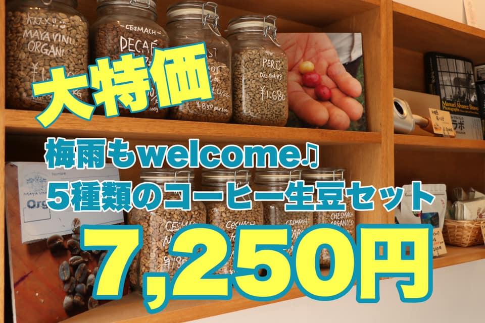 コーヒー 生 豆 保存