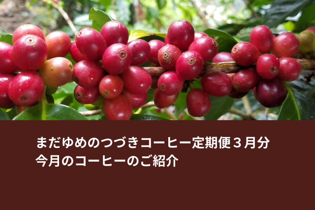 【コーヒー定期便】2月の発送スケジュール(3月分)