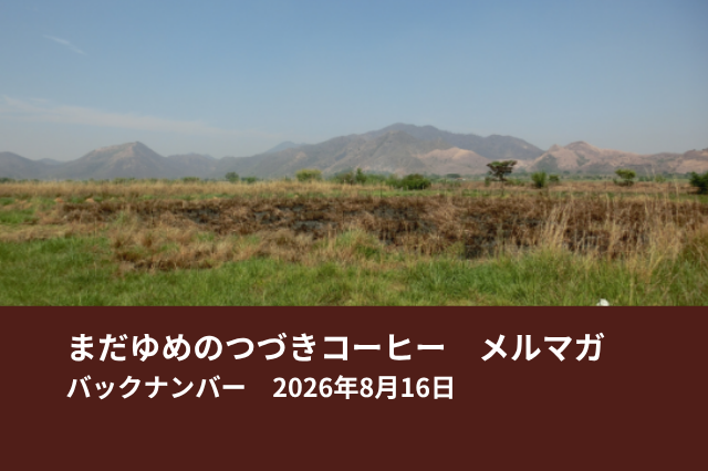 8月17日から出荷します!!(新着情報多数)