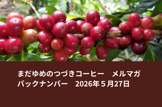【先行割引】アルトマヨ“コロシャ集落”販売開始&東ティモール6月販売分再入荷
