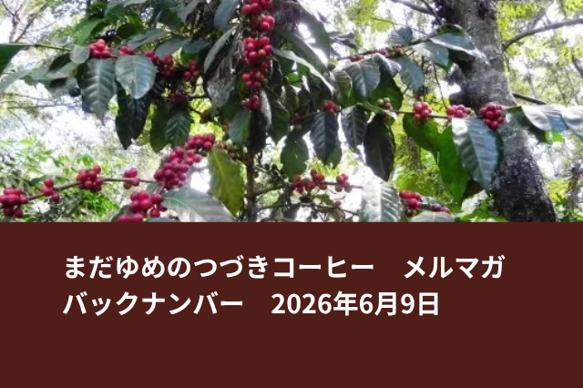 【数量限定】NEWデカフェ登場&大人気 グアテマラ・アンティグア ピーベリー入荷