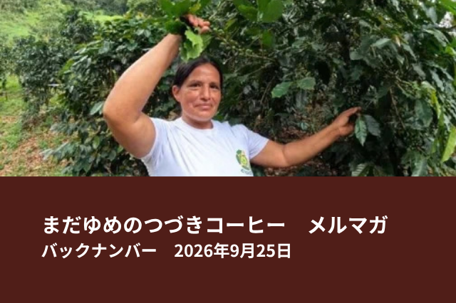 アルトマヨの森、残りわずか
