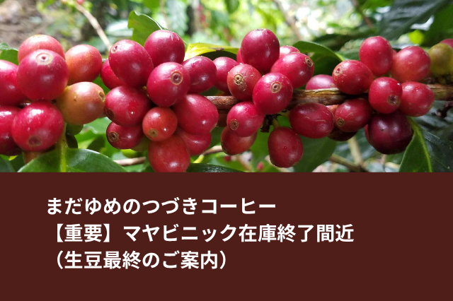 【重要】マヤビニック在庫終了間近(生豆最終のご案内)