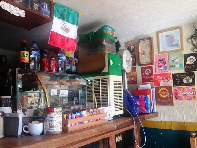 【DAY32】　「メキシコのコーヒーっておいしいんですか」