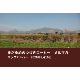 8月17日から出荷します！！(新着情報多数)