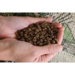 メキシコ発「夢のコーヒー」