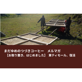 【お取り置き、はじめました】東ティモール、復活