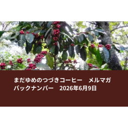【数量限定】NEWデカフェ登場＆大人気 グアテマラ・アンティグア ピーベリー入荷