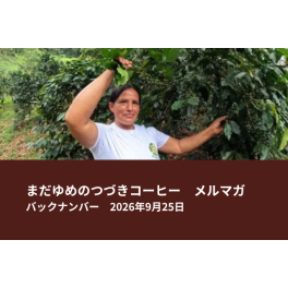 アルトマヨの森、残りわずか