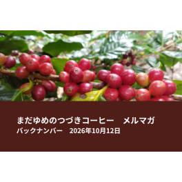 【新入荷】世界でも珍しい「ゲイシャ麹発酵コーヒー」他 登場！｜10/25 名古屋でフェアトレードイベント開催