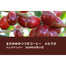 希少品種マラゴジッペ＆パカマラ特集（JICA中部イベントのご案内）