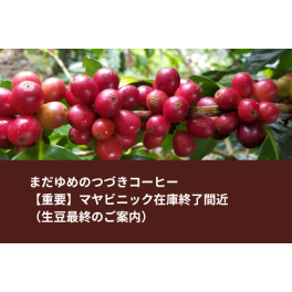 【重要】マヤビニック在庫終了間近（生豆最終のご案内）