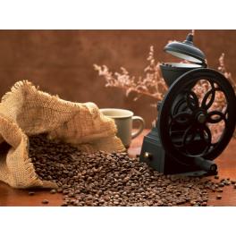 美味しいコーヒーを飲む為に、欠かせない３つの事！Vol.1 「コーヒー豆も鮮度が命」
