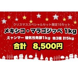 豆乃木のクリスマススペシャルセット本日より販売開始！