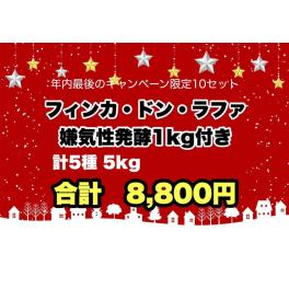 豆乃木のクリスマススペシャルセット完売御礼につき第2弾！！