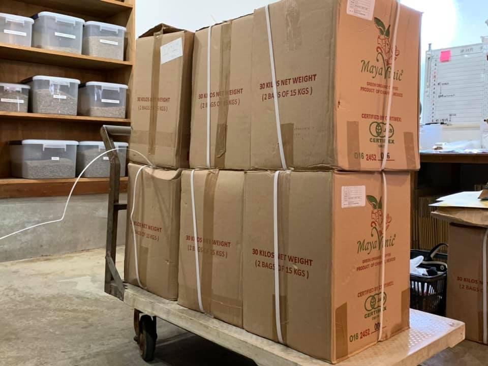 【 豆乃木新聞 】バックナンバー  2021年2月号