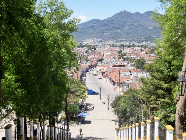 豆乃木がなる日 Story of mamenoki 起業元年