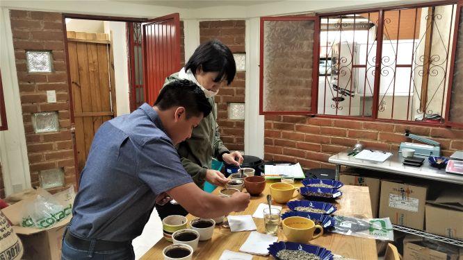 まもなく入港 「Finca Don Rafa(フィンカ・ドン・ラファ)」ってどんなコーヒー?