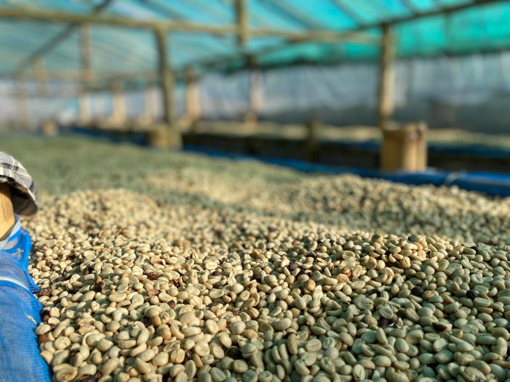 ミャンマー・ジーニアスハニー入荷しました