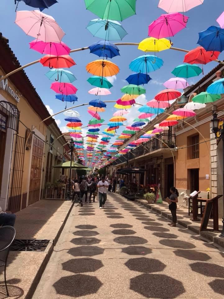 当店前月(2月)の売れ筋TOP3を更新しました