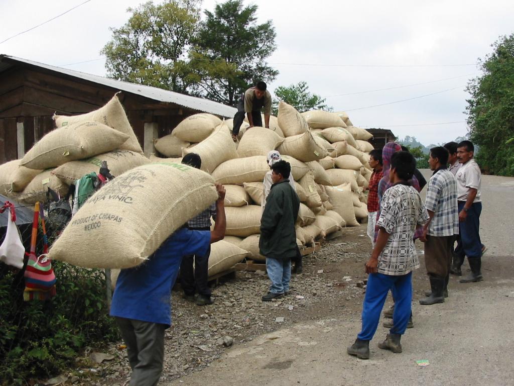 決算 &マヤビニック入港記念第一弾SALE