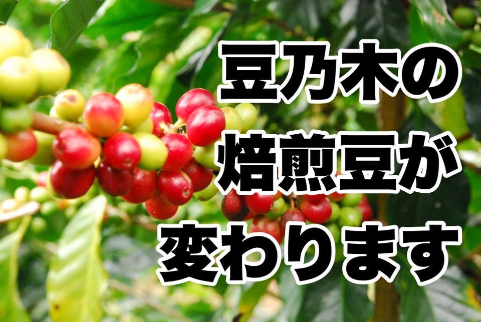 豆乃木の焙煎豆が変わります