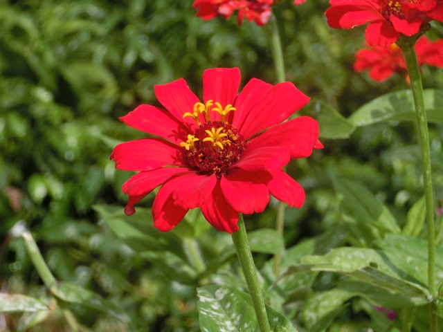 高校生とコーヒーの化学反応を起こす!?