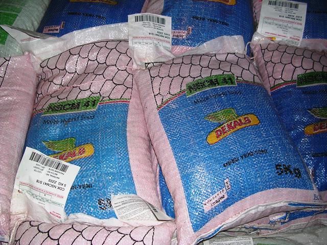 Q and A② マヤビニックコーヒー以外に扱ってみたいもの