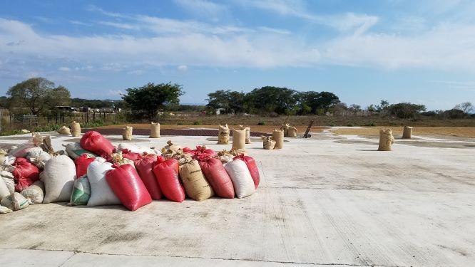 コーヒーの価格高騰が招く、わたしたちの未来