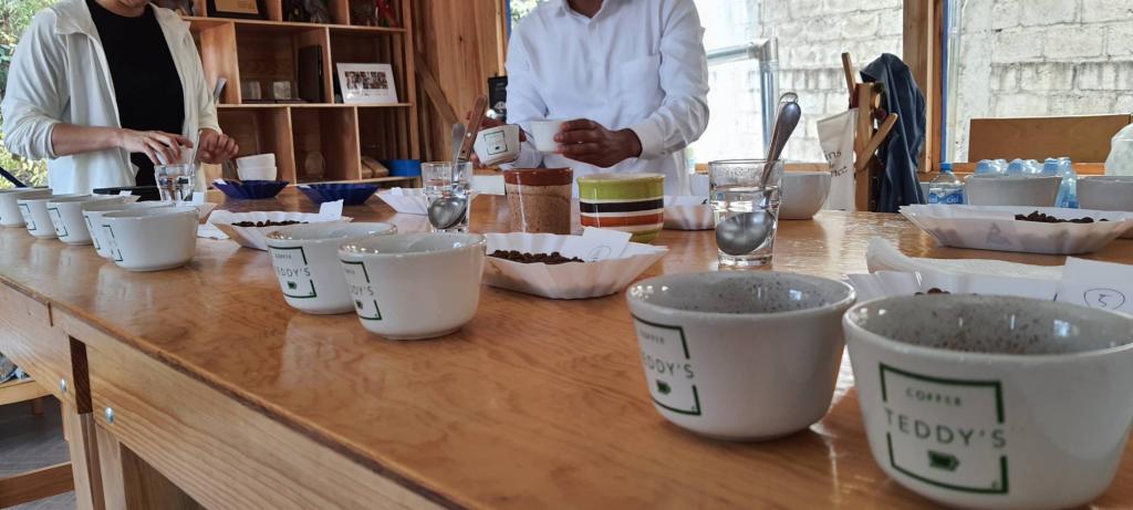 ドン・ラファ デカフェ(カフェインレス)入港と先行販売のお知らせ