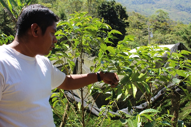 豆乃木の業務用焙煎豆に熱視線☆ ~なぜ豆乃木のコーヒーでないといけないのか?