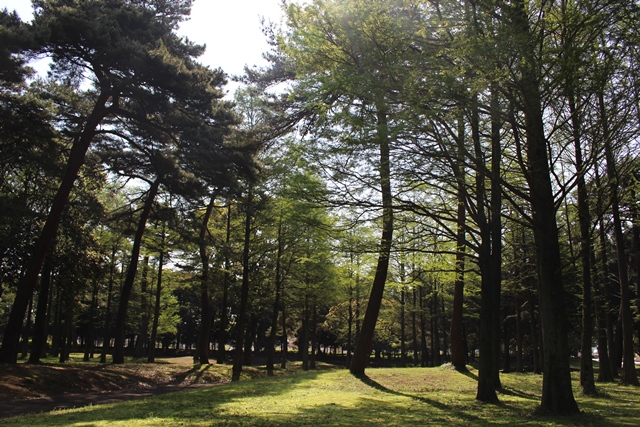 ニッポン渡りびと vol.1 大分県 DAY3(その1)