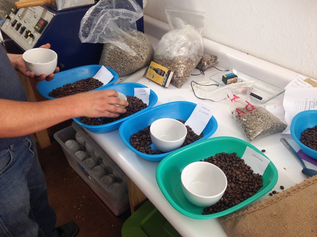 ブレンドコーヒー講座でストレートコーヒーを極めよう!