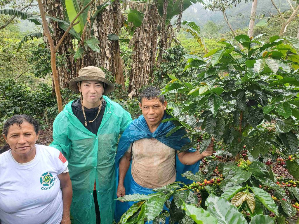 アルトマヨの森で「フェアトレードコーヒー」の意義を考察する旅