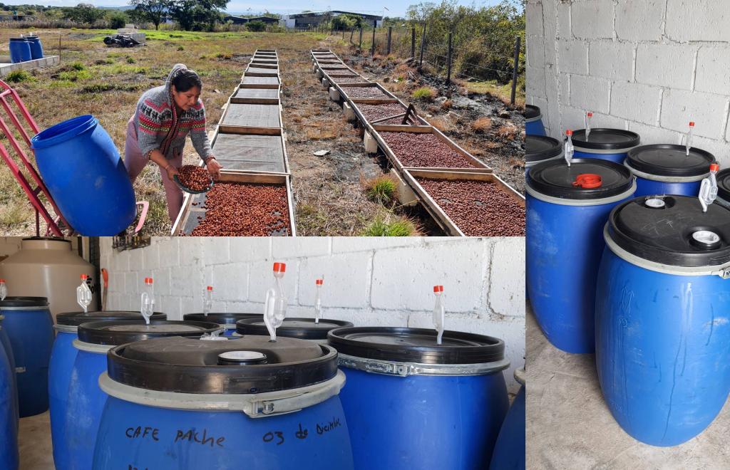 ダブル発酵(ダブルファーメンテーション)とは?