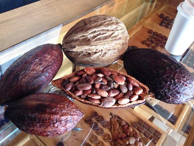 【DAY56】 だから生産地はおもしろい!