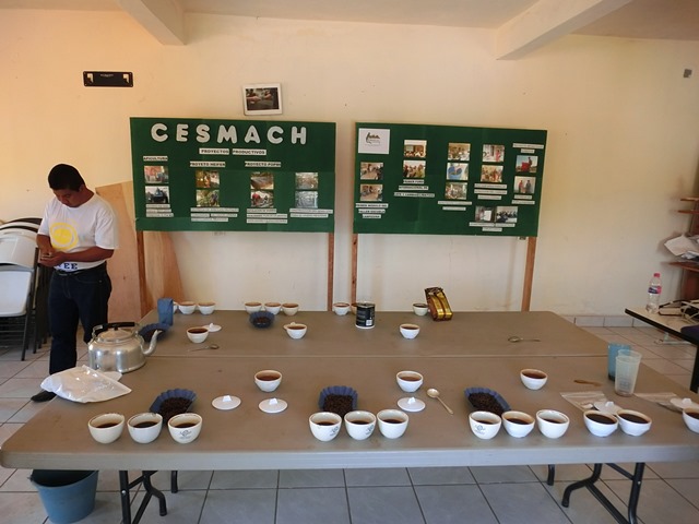 生豆サンプル from CESMACH(セスマッチ)