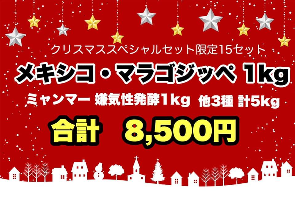 豆乃木のクリスマススペシャルセット本日より販売開始!