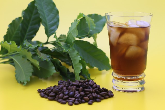 真夏日だから、アイスコーヒーのお話・・・マヤビニックコーヒーのレギュラーコーヒーでホットもアイスも!