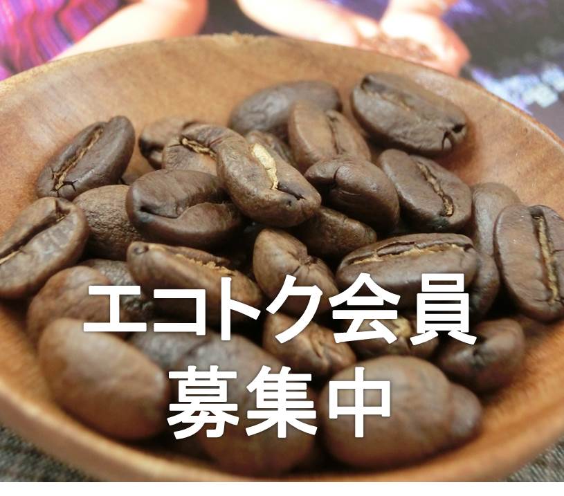 ECOでお得なまとめ買い、しませんか??