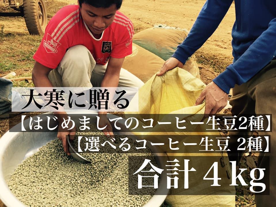 ★無農薬コーヒー生豆★大寒に贈る【はじめましてコーヒー生豆2種】と選べるコーヒー生豆2種 合計4kg