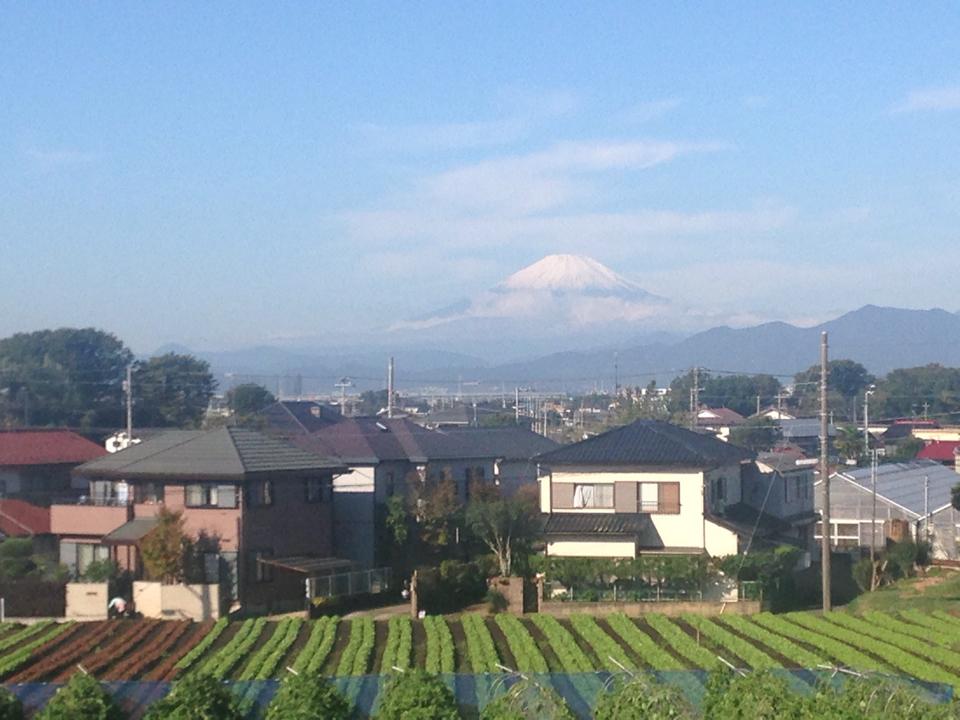 【新産直商品ができるまで vol.4】 新商品が届きました