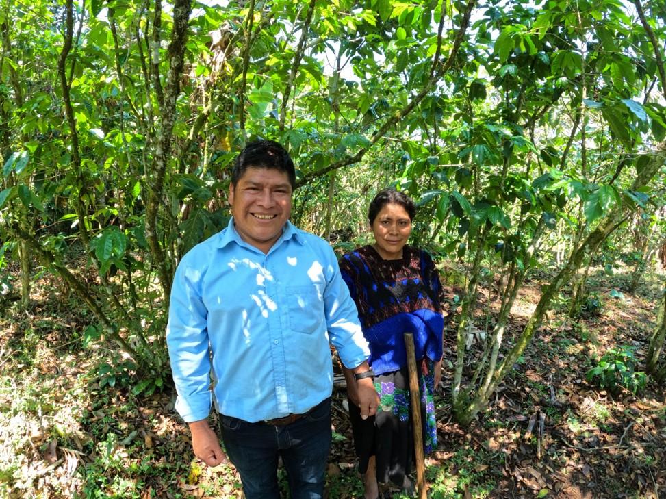 人気商品 生豆TOP3が入れ替わります(2024年12月1日)