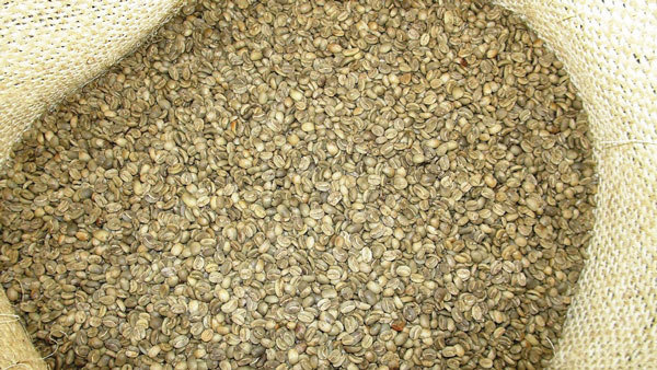 ラオスのコーヒーに胸を躍らせて♪