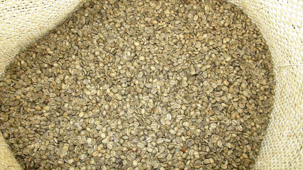 メキシコ・マヤビニック生豆10kg販売終了しました