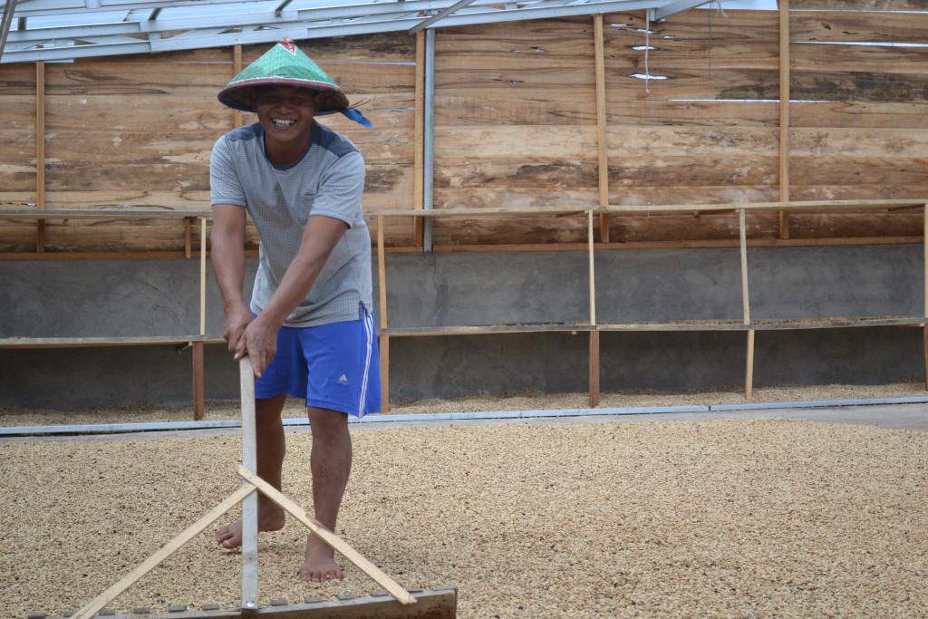 東ティモールファン必読(値上げ前の最終オファー)&キリマンジャロ数量限定にて販売中