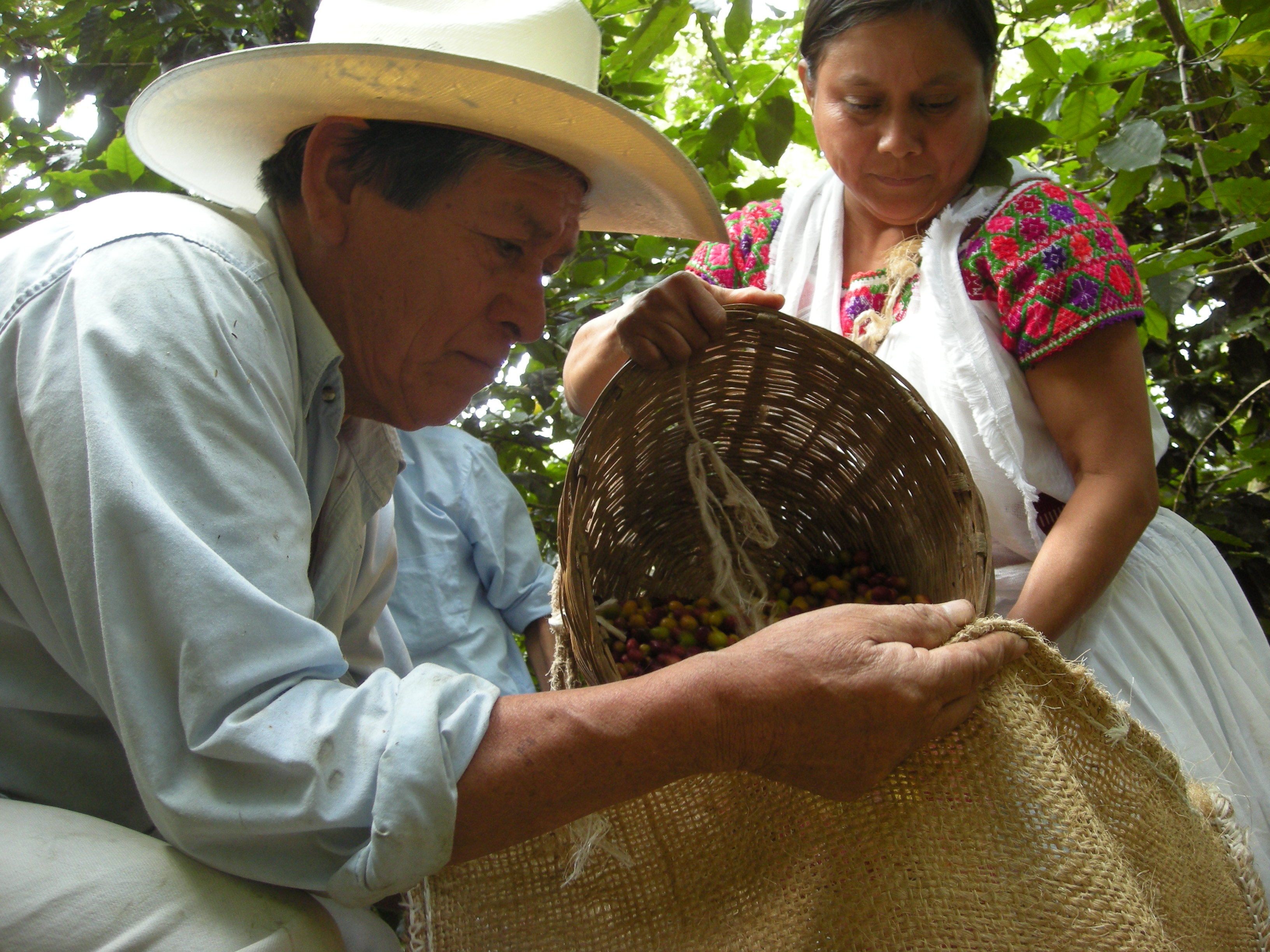 5日間連続35度を超えた日には、何かやるっきゃない!ってことで・・・暑中見舞い申し上げます