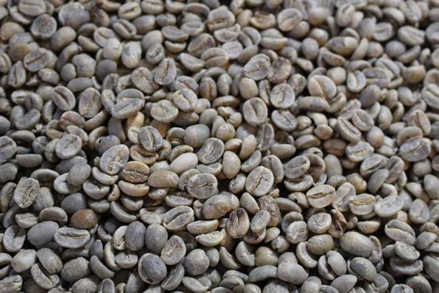 【お知らせ】生豆・業務用卸/委託をお考えの皆さまへ