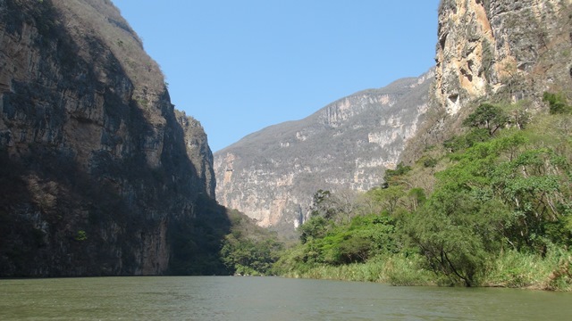 コーヒーセミナー、質問あるある!PART1 「コーヒーに適した水」